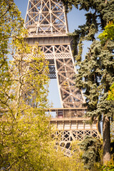 Dreamy spring details of the Eiffel Tower - Paris