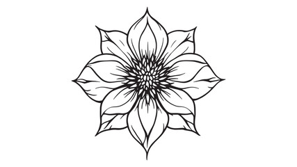 Hellebore line art illustration minimalist floral design artwork