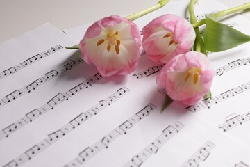 Beautiful tulips and sheets with music notes on white table, closeup