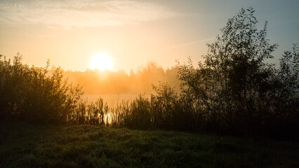Fototapeta premium Autumn, sunny foggy morning in the park.