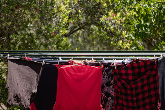 Colourful shirts drying on a line in a sunny garden with vibrant greenery in the background