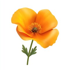 Vibrant orange California poppy in full bloom.