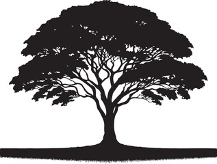 Fototapeta premium Big Tree silhouette design vector.