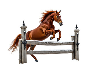 Chestnut Horse Jumping Fence transparent background