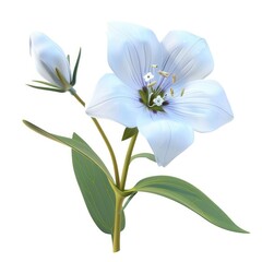 Light-blue flower sprig with buds and leaves.