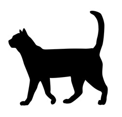 black cat silhouette