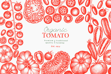 Hand Drawn Tomato Illustration. Retro Vegetable Vector Design Template. Old School Farm Food.