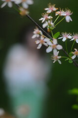 young girl walking in a summer park in a white blouse and skirt