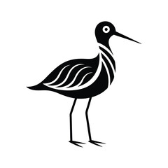 Obraz premium black and white illustration shorebird sandpiper