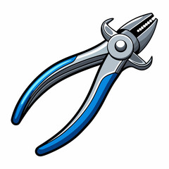 scissors and pliers
