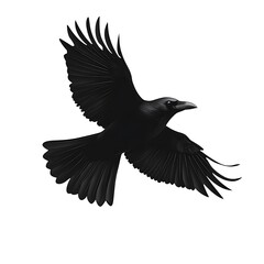 Obraz premium Stylized crow flying logo inspiration high resolution pictures
