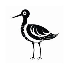 black and white illustration shorebird sandpiper