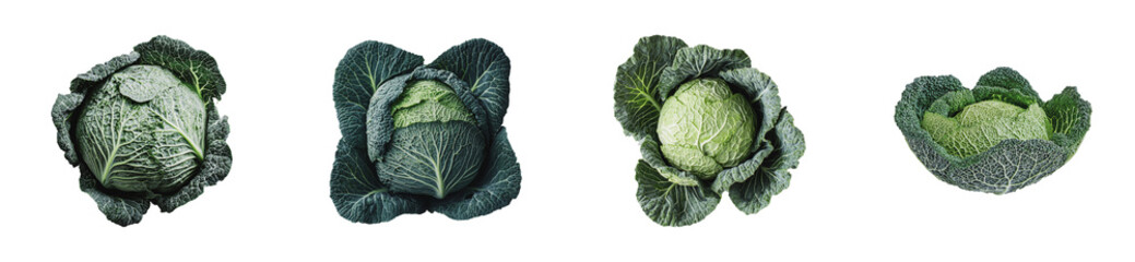 Fototapeta premium Variety of fresh cabbage heads showcasing textures and colors, cut out - stock png.