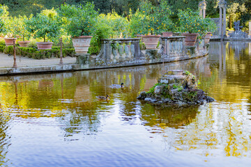 Obraz premium Florence Firenze city in toscana North Italy