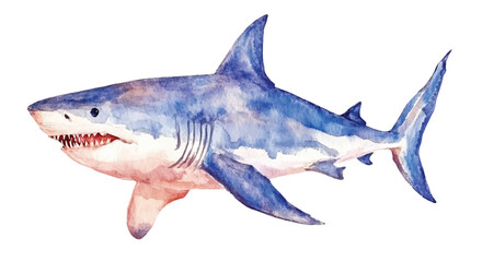 Fototapeta premium shark watercolor vector illustration, underwater ocean animal art isolated on white background