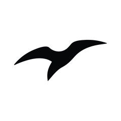 silhouette of a bird