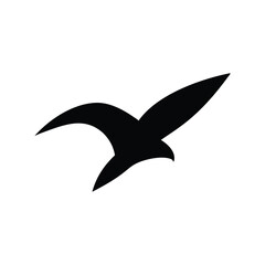 vector illustration of an eagle