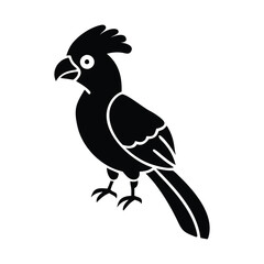 BirdVector