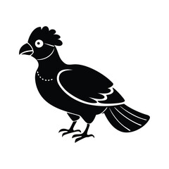 BirdVector