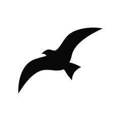 vector illustration of a seagull