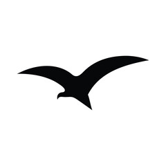 eagle vector illustration