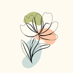 Abstract Line Art Flower with Pastel Shapes Botanical Illustration