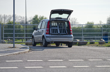 Auto mit Hundebox