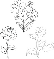 Three Simple Line Drawing Flowers Botanical Illustration