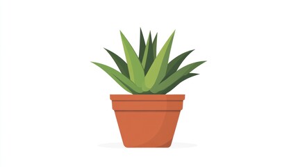 Obraz premium Potted succulent plant (1)