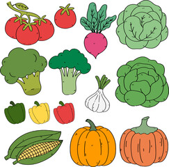 vegetable hand drawing minimalist style