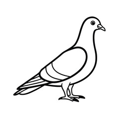 pigeon line art vector on white background
