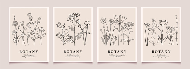 Flower and herb icon poster design. Abstract lines and plant elements. Minimalist botanical vector art. Modern backgrounds. Hand drawn illustration.