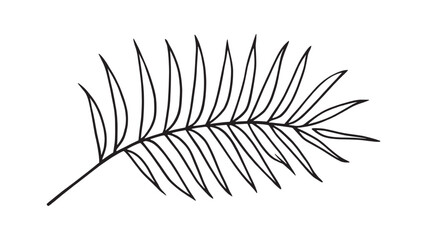 Coconut palm leaf line art illustration tropical botanical design minimalist style