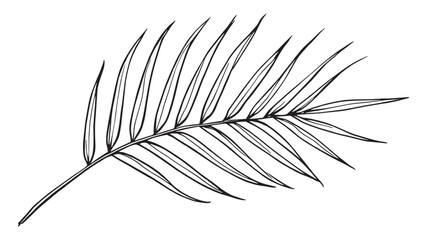 Coconut palm leaf line art illustration tropical botanical design minimalist style