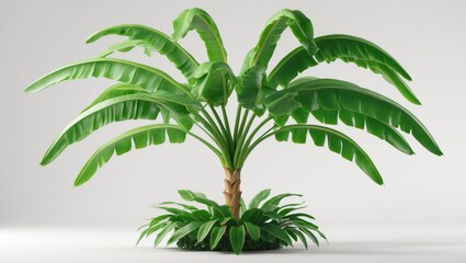 Obraz premium isolated strange banana tree amidst jungle foliage