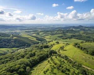 landscape with green fields and blue sky