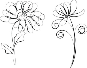 Elegant Line Art Floral Designs Two Flowers White Background
