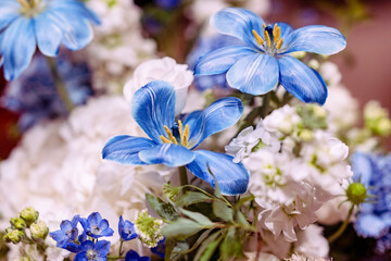 forget me not flowers