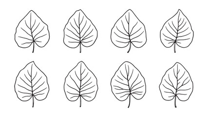 Alocasia line art simple nature-inspired sketch with detailed leaves