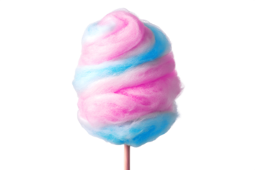 Pink and Blue Swirled Cotton Candy on a Stick