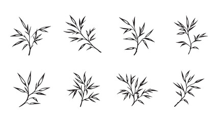 Obraz premium Ash leaf line art minimalistic artistic drawing perfect for decor