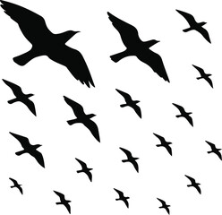 Flying Birds Silhouette Vector – Flock of Birds in Black Minimalist Style