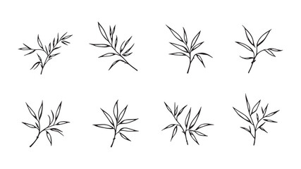 Obraz premium Bamboo leaf line art modern minimalist illustration for wall art