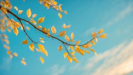 A slender branch with golden-yellow leaves against a vivid blue background, emphasizing the delicate flora and tranquil scene.