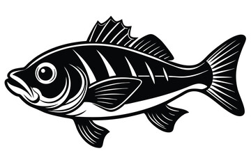  cute fishing sport bass fish. isolated cartoon animal illustration