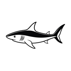 stunning blacktip shark line art vector on white background