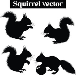 Squirrel Vector Silhouettes Cute Rodents in Various Poses