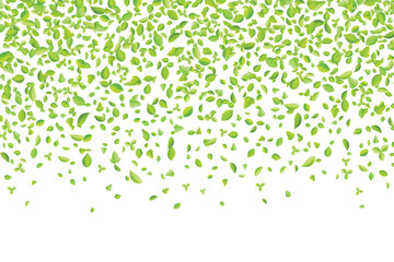 Vector fresh spring green leaves background for greeting card in flat style