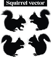 Squirrel Vector Silhouettes Cute Rodents in Various Poses