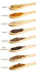 Set of eight spices in spoons on white background: coriander, black pepper, cumin, sesame, cloves and others. Isolated